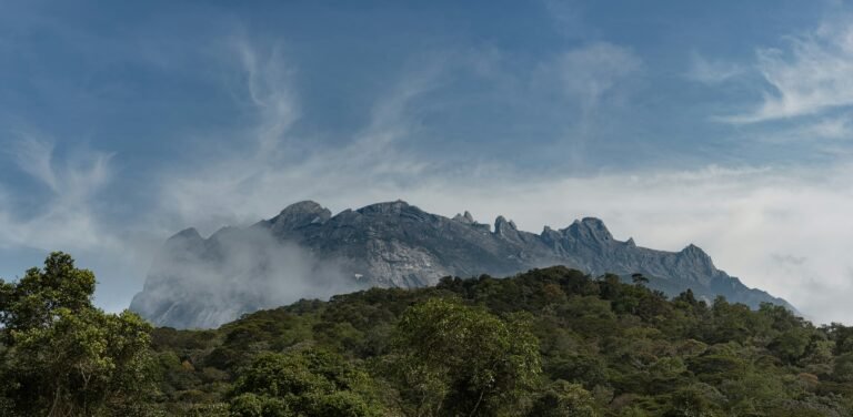 green trees on mountain under white clouds during daytime